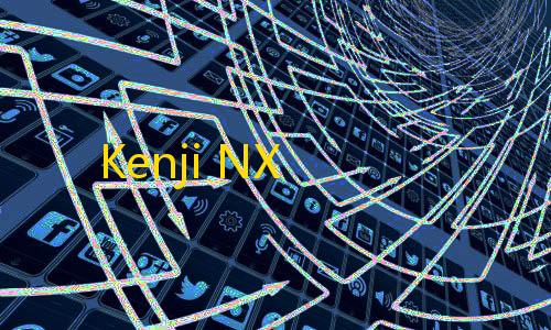 暗区突围透视工具Kenji NX